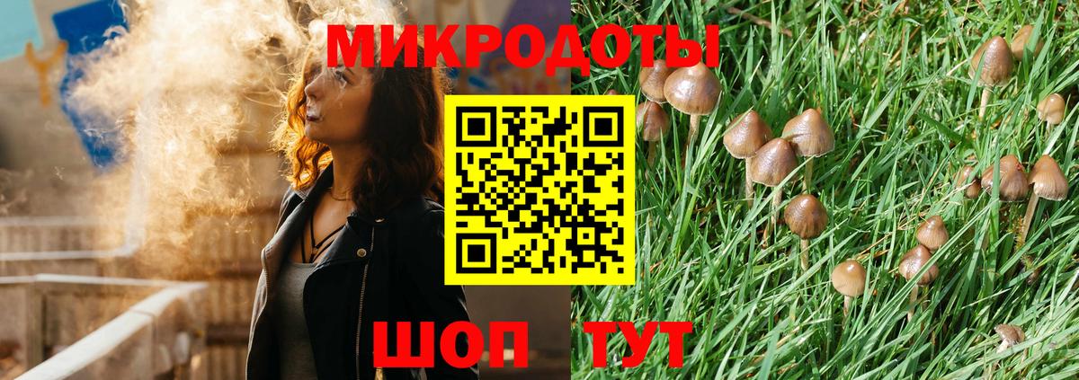 Псилоцибиновые грибы мухоморы Кубинка